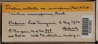 Image Associated With the Occurence